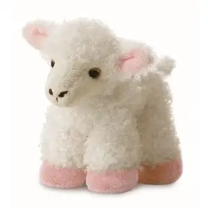 Lamb Teddy
