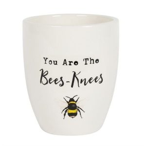 You Are The Bees Knees Ceramic Plant Pot