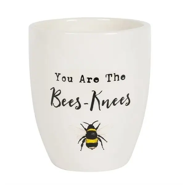 You Are The Bees Knees Ceramic Plant Pot