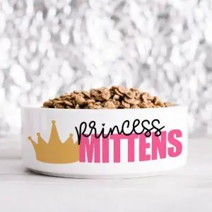 Personalised Princess Pet Bowl